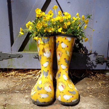 Sloggers Women's Mid-Calf 10" Boot in Chicken Daffodil Yellow