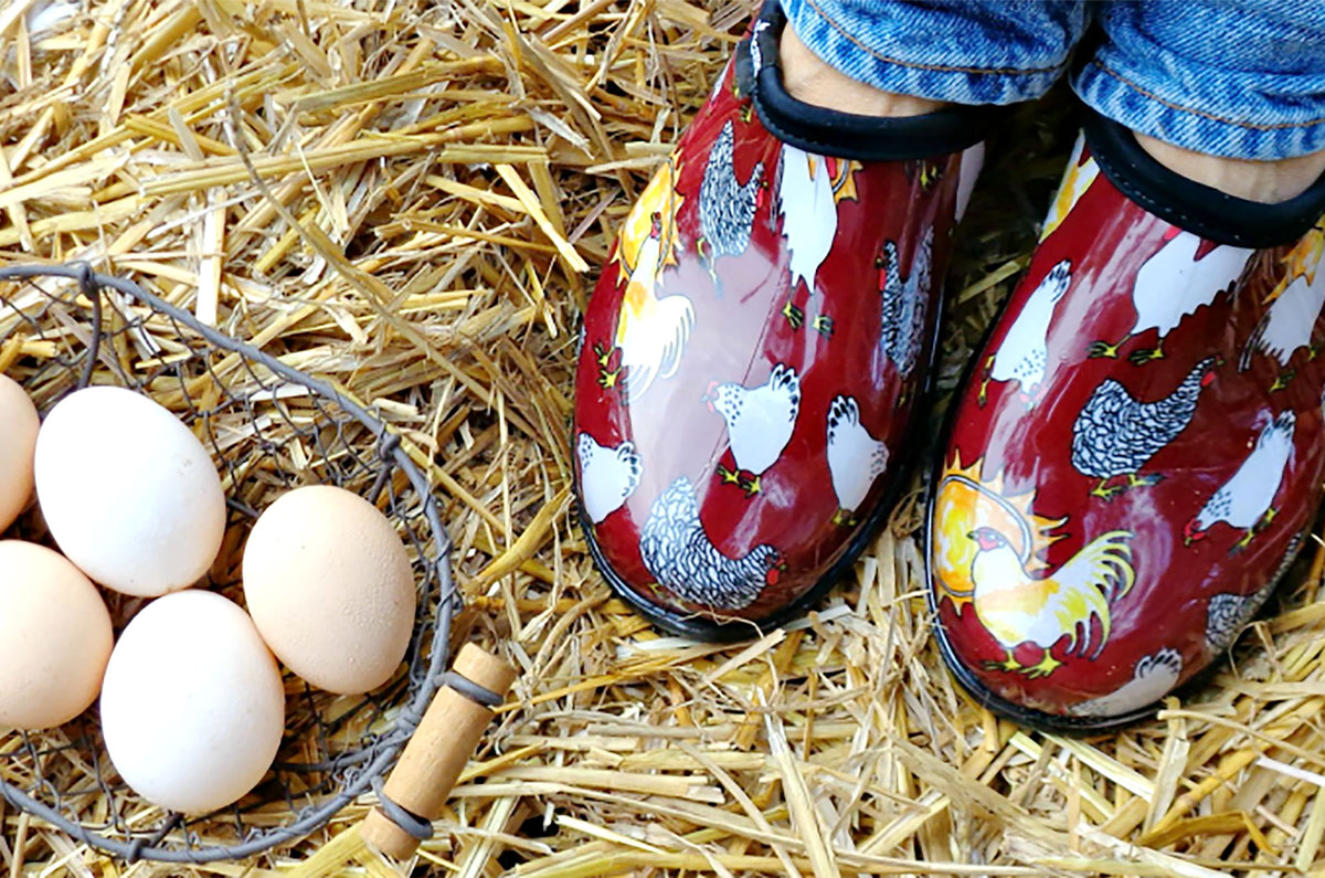 Sloggers Women's Original Garden Shoe in Chicken Barn Red