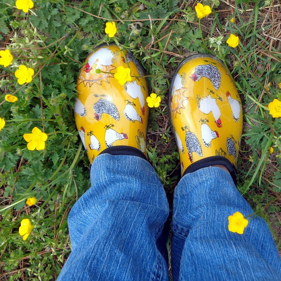 Sloggers Women's Original Garden Shoe in Chicken Daffodil Yellow