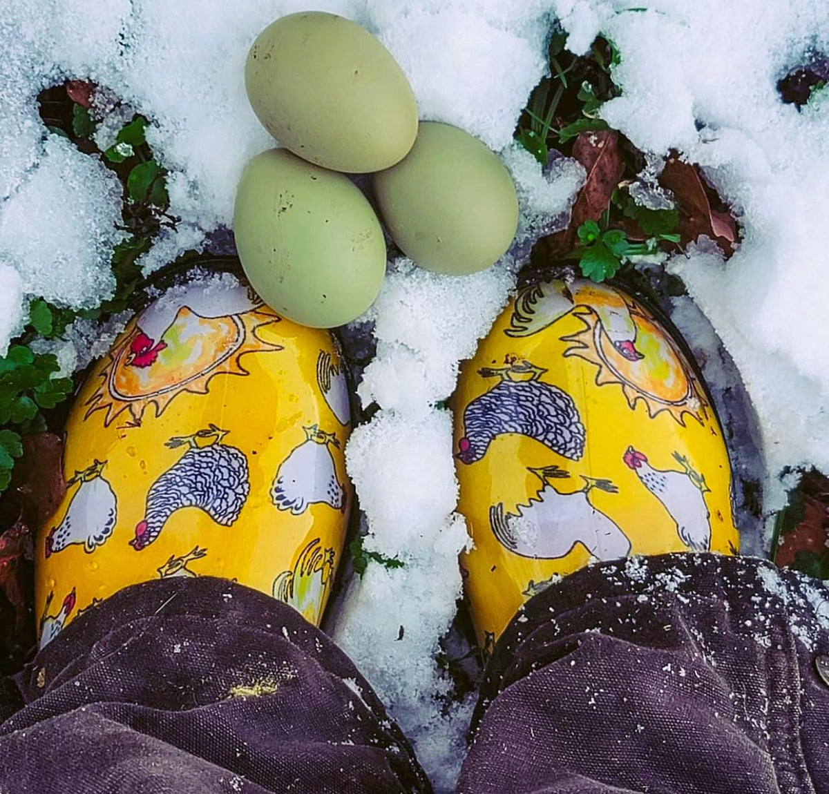 Sloggers Women's Original Garden Shoe in Chicken Daffodil Yellow